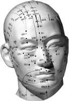 Les points d'acupuncture du visage.